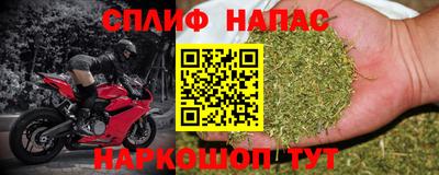 прущие крисы Гусев
