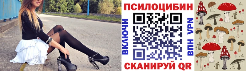 дарк нет как зайти  Лесозаводск  Псилоцибиновые грибы GOLDEN TEACHER 