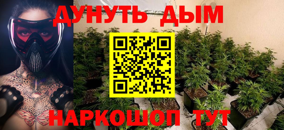 Марихуана OG Kush Лесозаводск